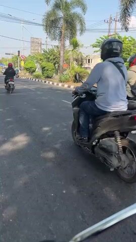 The video shows a view from the perspective of someone riding a motorcycle. The camera is looking forward and slightly to the right. In the foreground, the handlebars of the motorcycle are visible. Ahead of the motorcycle, on a paved road, are several other motorcycles, each carrying one or two people wearing helmets. The motorcycles are moving in the same direction. On the right side of the road, there is a sidewalk with black and white striped borders, followed by trees and vegetation. In the background, there are buildings, utility poles, and traffic lights. The sky is clear and blue. The overall scene appears to be a daytime street scene in an urban or suburban environment.