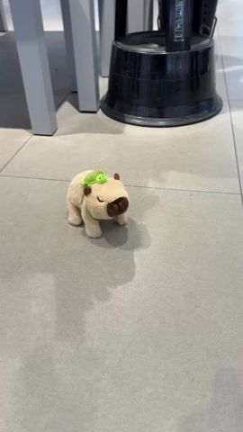 A stationary capybara plush toy rests on a light grey tiled floor. The toy has a green turtle plush affixed to its back. A section of the bottom of a chair and a dark container are visible in the background.