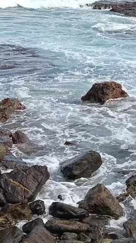 The video shows a rocky coastline with waves crashing against the shore. The water is a mix of blue and white, with white foam from the waves. The rocks are dark and wet, and some have green algae growing on them. The waves are breaking and rolling towards the shore, creating a dynamic and powerful scene. The overall impression is one of nature's raw beauty and strength.