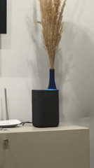 Home interior documented in Khimki showing speaker and vase arrangement