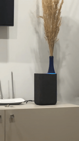 Home interior documented in Khimki showing speaker and vase arrangement