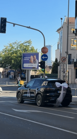Decorated vehicle and street scenes documented in Belgrade