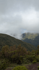 People walk mountain road amid fog in Porto Moniz