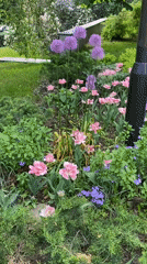 Moscow spring gardens and urban landmarks documented by witnesses