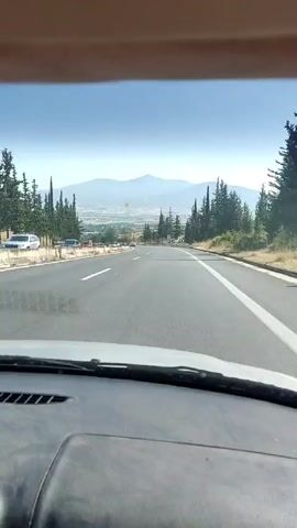 The video is shot from the driver's perspective inside a moving vehicle, looking forward through the windshield. The dashboard is visible at the bottom of the frame. The vehicle is on a two-lane paved road, with one lane going in each direction, marked by a broken white line in the center and a solid white line on the right shoulder. Tall, slender evergreen trees line both sides of the road. In the distance, a valley or plain with what appears to be a city is visible, backed by mountains under a clear blue sky. Several parked cars are visible on the left shoulder of the road.