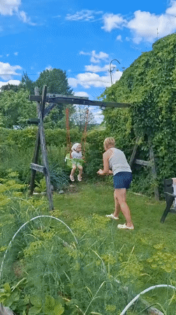 Sunny summer morning at a Russian lakeside dacha