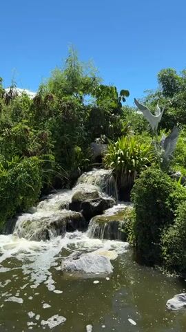 The video shows a small, artificial waterfall cascading down rocks into a pond. The waterfall is surrounded by lush green vegetation. Two statues of white cranes stand at the edge of the waterfall. The sky is clear and blue. The water is foamy and churning as it flows over the rocks.