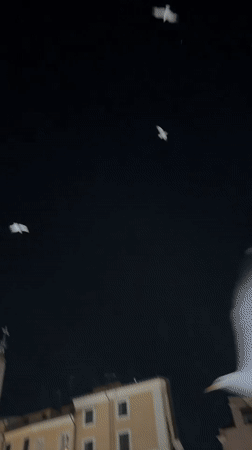 Nighttime tour of illuminated ancient Rome monuments captured