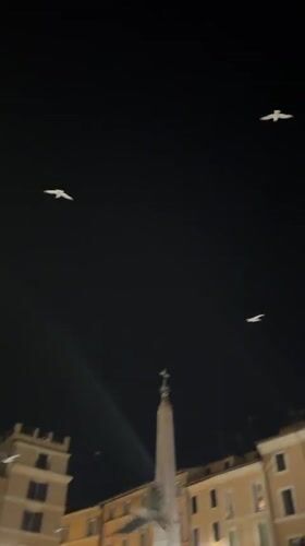 Nighttime tour of illuminated ancient Rome monuments captured