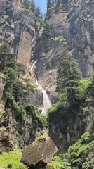 Morning hike to Jogini Falls through Bahang's pine forest