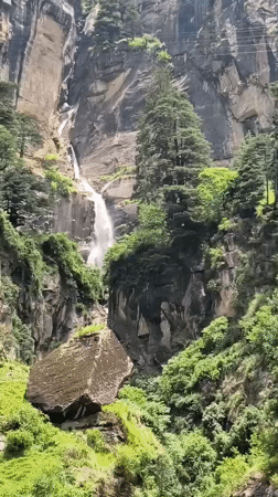 Morning hike to Jogini Falls through Bahang's pine forest