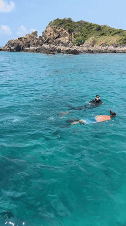 Tourist snorkeling activity recorded at Vietnam heritage waters