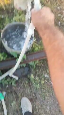 A first-person perspective video shows a person holding a white hose with a faucet attached, filling a metal trough with water. A light-colored cow with brown patches is drinking from the faucet. The trough is partially filled with water, and some of the water is splashing out. The ground around the trough is covered with grass and dirt. The scene appears to be outdoors in natural light.
