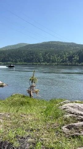 A dark-colored boat speeds across a wide body of water from left to right, creating a substantial white wake. At least one person is visible in the boat, wearing what appears to be a life vest. The foreground shows a rocky bank covered with green grass and a small, leafless tree. In the background, rolling hills densely covered with green trees rise under a clear blue sky. Power lines and transmission towers are visible across the hills. The scene depicts a sunny day on a large river or lake.