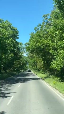 The video shows a car driving on a two-lane asphalt road, with a white dividing line, flanked by dense green trees under a bright blue sky. The road curves gently ahead, and another car is visible in the distance. The perspective is from the dashboard of the car that is moving forward. Music is audible.