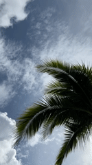 Lazy resort morning in Kathu: pool, palms, and yoga