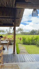Tourist documents morning exploration of Bali rice fields