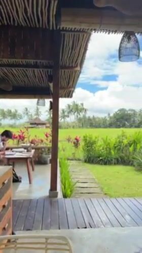 Tourist documents morning exploration of Bali rice fields