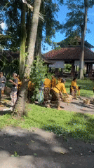 Traditional ceremony and motorcycle travel documented in Mengwi, Indonesia
