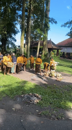 Traditional ceremony and motorcycle travel documented in Mengwi, Indonesia