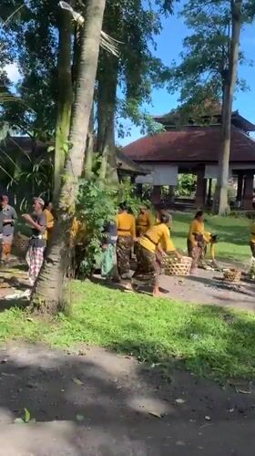 Traditional ceremony and motorcycle travel documented in Mengwi, Indonesia