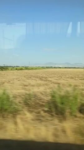 The video shows a view from a vehicle moving past a dry, agricultural field with some green vegetation on the left. The sky is clear blue. In the distance, there are mountains. The vehicle then passes by a dirt road surrounded by trees. Finally, the view shifts to a grassy area with scattered debris, including white and blue objects, and more trees.