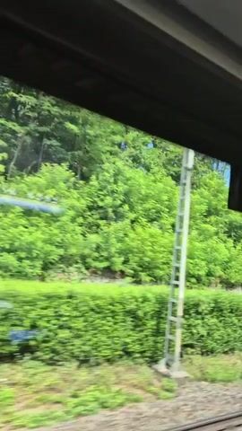 A view from inside a moving vehicle, likely a train, shows a blur of green foliage passing by the window. The foliage appears dense and lush, with trees and bushes creating a verdant landscape. The ground beneath the foliage is a mixture of dirt and gravel, with train tracks visible in the lower right corner of the frame. A dark overhang, possibly part of the vehicle's interior, frames the top of the view. To the right, a black sign with a red circle on a white background is briefly visible, attached to the overhang. Further to the right, a white building with a light-colored roof and a pole with a sign are also visible in the distance. The overall impression is of a scenic journey through a green and possibly rural area.
