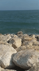 Coastal leisure activities documented along Yenişehir shoreline