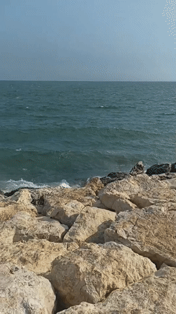 Coastal leisure activities documented along Yenişehir shoreline