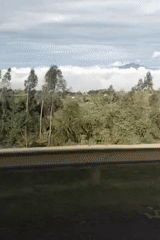 Rural landscape filmed from moving vehicle in Naivasha, Kenya