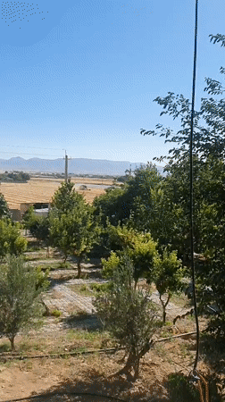 Rural harvest season documented in Kheyrabad, Iran