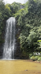 Morning visitors explore Pa Sỹ Waterfall trails in Vietnam jungle