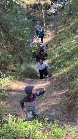 A group of people, mostly adults and some children, are walking along a dirt path in a forest. The path is steep and leads up a hill towards a small stream. The people are spread out along the path, with some helping each other up the hill. The environment is a sunny, mixed forest with pine trees and various green vegetation. The focus is on the group's progression up the slope, emphasizing the collaborative and slightly challenging nature of their hike.