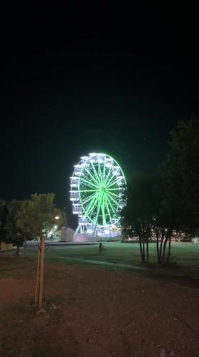 Ferris wheel and lit palms at a Budva nightspot