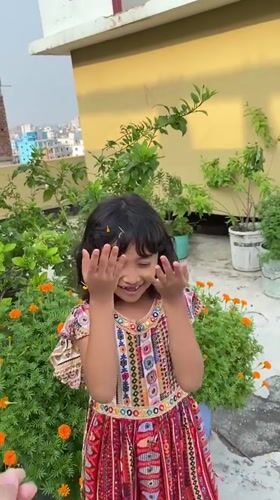 Child plays in rooftop garden among marigolds in Dhaka