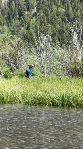 This video shows a person fishing by a lake. The person is wearing a blue shirt and a brown hat, and they are sitting in the tall grass by the edge of the water. The lake is calm, with ripples on the surface. In the background, there are trees and a hill. The sun is shining, casting shadows on the ground, suggesting it is daytime. The weather appears to be pleasant, with clear skies. The setting is a natural, serene environment. The person's posture and focus suggest an activity that requires patience and concentration. There is no visible text in this video.