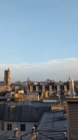 Witness captures golden hour views of Paris rooftops, streets