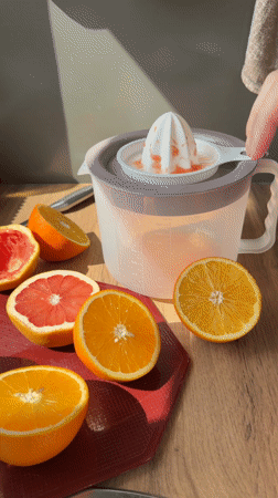 Morning kitchen activities documented in Chaikovsky home