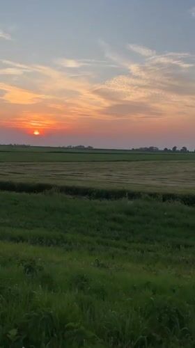 Golden hour over the flat green fields of Genemuiden