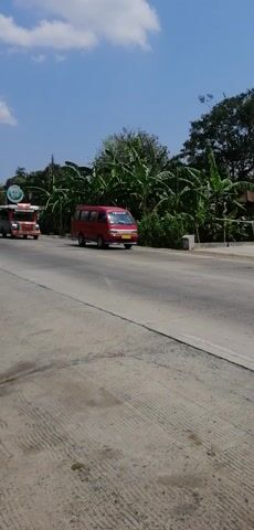 The video captures a street scene from a moving vehicle's perspective, oriented vertically. A red van is parked on the left side of the road, partially obscured by lush green foliage, likely banana trees. Further down the road, a colorful public utility vehicle, possibly a jeepney or a modified van, is moving. Two motorcycles are visible, one behind the other, traveling in the same direction as the camera. The road surface is paved and shows texture, with a white line marking the edge. The sky is clear blue with a few white clouds. The overall environment suggests a tropical or subtropical location with dense vegetation.