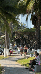 Women jog on tree-lined pathway in Trang heritage area