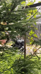 Lazy summer afternoon in a Vereya residential neighborhood