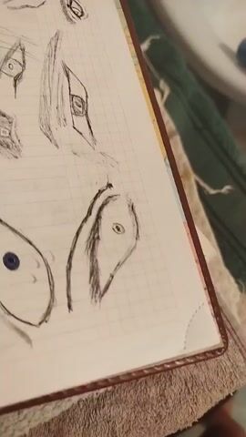 The video shows a close-up view of a notebook with several sketches of eyes and some facial features. The sketches are done in pencil and appear to be studies or practice drawings. The notebook is open and lies on a surface that is covered with a green, patterned fabric. The lighting is dim and appears to be coming from above. The video pans across the notebook, showcasing different sketches.