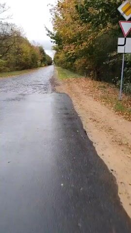 The video shows a paved road with a dirt shoulder. The road is wet and appears to have puddles on it. The trees on either side of the road have autumn foliage. The camera is moving forward, suggesting it is attached to a vehicle or being held by someone walking or cycling. There are no people or other objects visible in the frame.