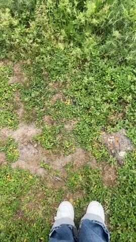 The video starts with a shot of the person's feet in white sneakers, standing on a dirt path surrounded by green plants and weeds. The camera slowly pans upwards, revealing a vibrant meadow filled with yellow wildflowers and lush greenery. The background features a steep cliff face with layered rock formations covered in vegetation. The video ends with a wide shot encompassing the meadow, the cliff, and a building visible on the horizon.