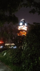 Nighttime scenes captured around illuminated Chongqing clock tower