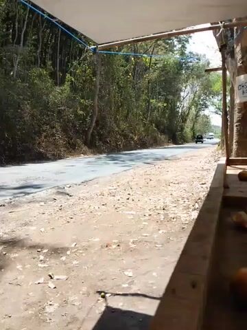 The video shows a road passing through a wooded area. The road is paved and appears to be in moderate condition, with some cracks and discoloration. To the left of the road, there is a dense forest with trees and undergrowth. To the right of the road, there is a roadside stand with a canopy providing shade. The stand appears to be selling coconuts. A white vehicle is seen driving away from the camera on the road. The sun is shining, indicating it is daytime. The scene is rustic and appears to be in a tropical or subtropical region.