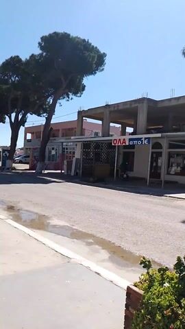 The video shows a street scene on a sunny day. The camera pans across a building with a sign that says "ΟΛΑ απο 1€". The building appears to be a shop, and there is an unfinished concrete structure on top of it. There is a puddle of water on the street, and a tree stands to the left of the building. Vegetation is also visible in the foreground. No people are clearly visible.