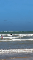 Morning beach activities recorded along Sri Lanka's southern coast