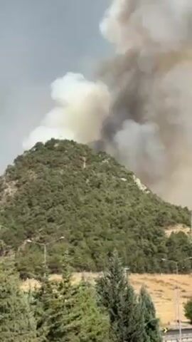 A video depicts a verdant hillside, topped with trees, set against a backdrop of thick, billowing smoke. The smoke, a mix of white and dark gray, rises high into the sky, obscuring the upper portion of the frame. The hillside is covered in lush green foliage, appearing healthy except for the point where the smoke is emerging. The base of the hill is lined with trees and streetlights, and a road can be seen in the foreground. The overall scene suggests a wildfire in progress.